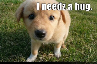 I needz a hug